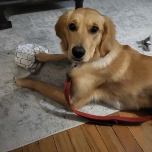 Meet your Posher, Beth ann